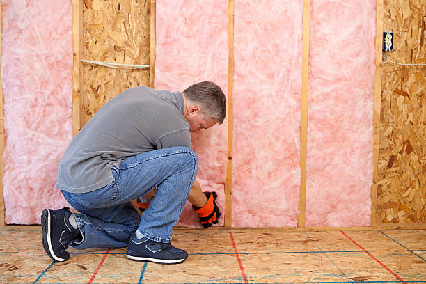 Best Types of Insulation in Buhl, MN