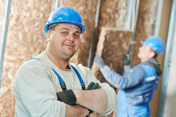 Best Insulation Installation Services in Buhl, MN