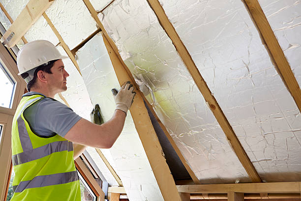 Best Insulation Maintenance and Repair in Buhl, MN