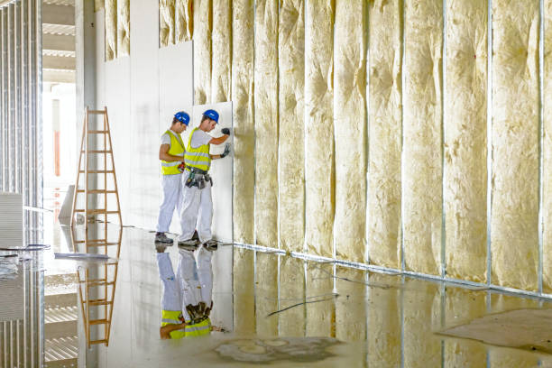 Best Energy Efficiency Solutions in Buhl, MN